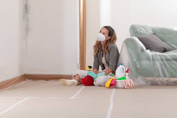 Reliable Hvac And Air Duct Mold Remediation contractor in Fort Worth, TX by Mold Remediation HQ